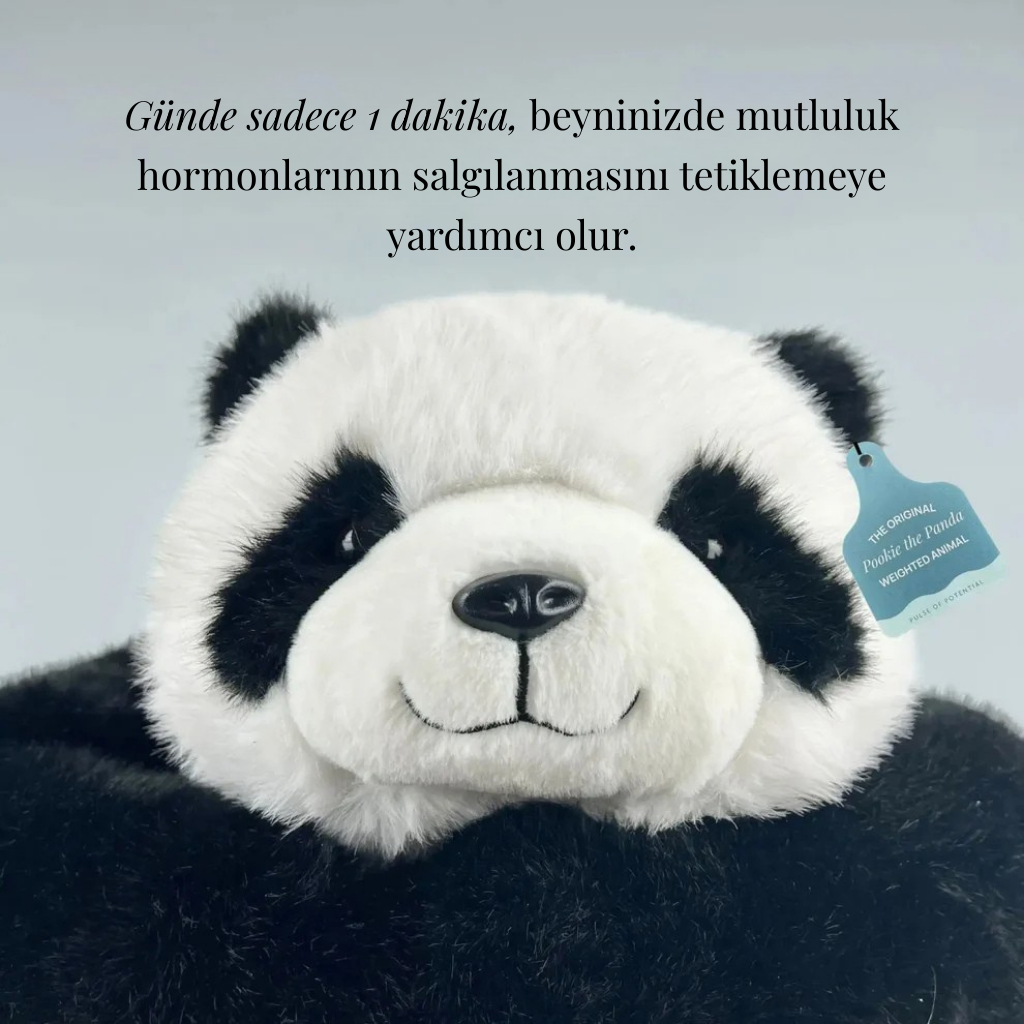 SARILDIM | Sarılma Pandası